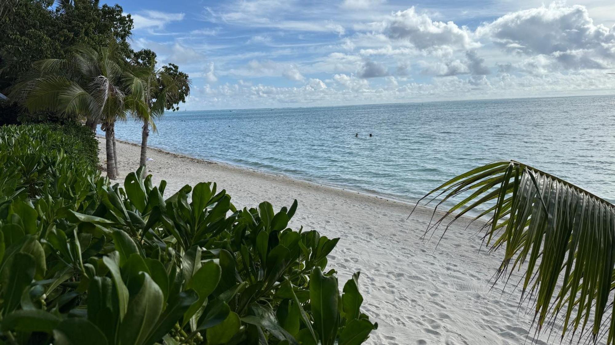 Blue Lagoon - Terrace View & Beach Access - Free Wifi Parking - Bora Bora Dream - Special Offer Ngoại thất bức ảnh