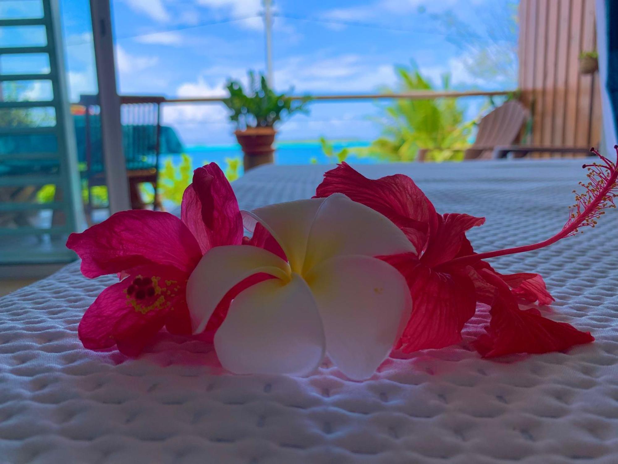Blue Lagoon - Terrace View & Beach Access - Free Wifi Parking - Bora Bora Dream - Special Offer Ngoại thất bức ảnh